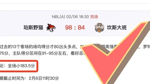 刘邵子洋迎战前东家，霍恩里德巅峰对决！