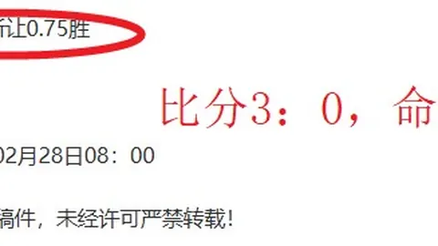 帕尔默英超首秀点球失手，中场休息急奔洗手间